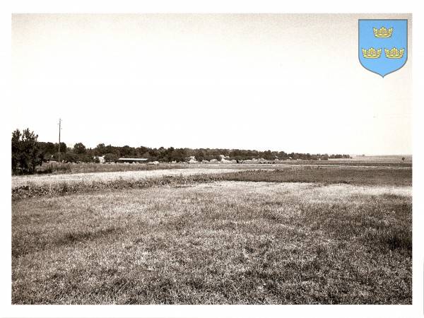 : Panorama wschodniego odgałęzienia wsi /Łany Podleśne/. Ujęcie od strony południowo - zachodniej.